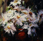 daisies