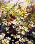 field of daisies II