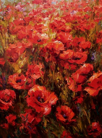 field of poppies II