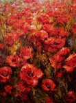 field of poppies II