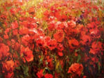 poppies