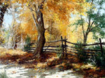 autumn in new mexico