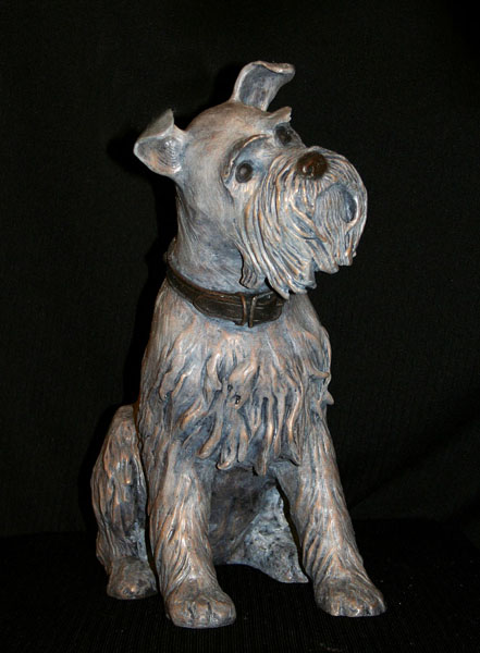 schnauzer