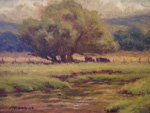 early afternoon
