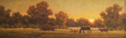 pastoral dusk