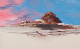village vision