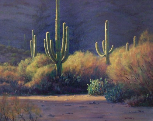 arizona arroyo