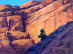 arizona elements