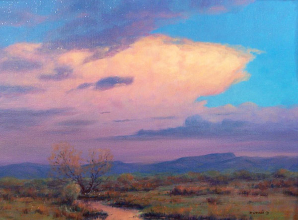 new mexico stream