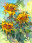 brenell sunflowers