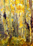 aspen grove