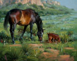 born far from fences