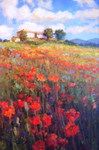 tuscan poppies