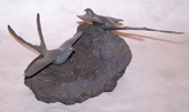 scissortails on lava