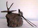 scissortails on lava