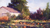 beside the shed
