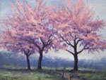 dogwood