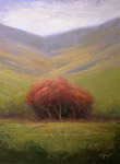 grouped trees