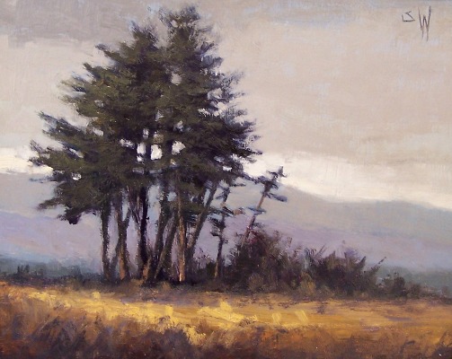 pine group