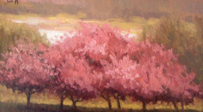 spring breeze