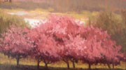 spring breeze
