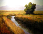 irrigation
