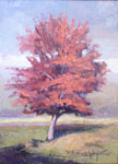 red tree