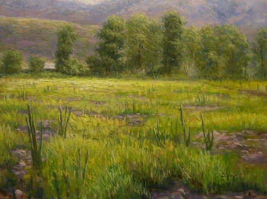 Uninterupted Spring