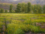 uninterupted spring