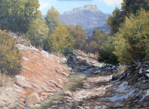 Trinidad Creekbed