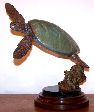 tortuga verde