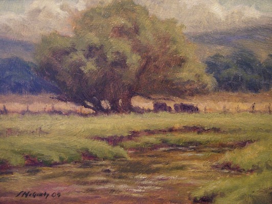 early afternoon