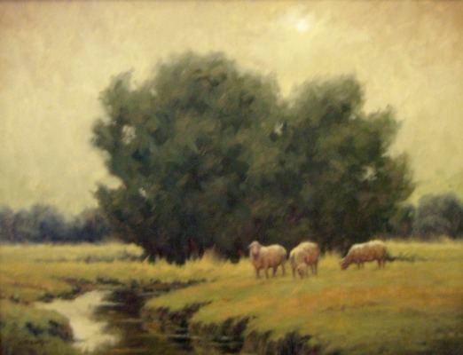 stormy day sheep
