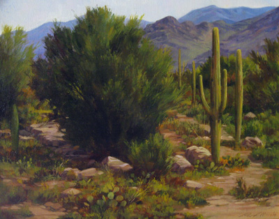 Arizona Saquaros