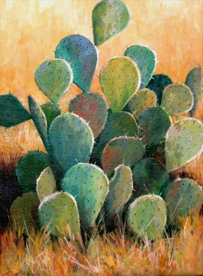 Cactus Colors