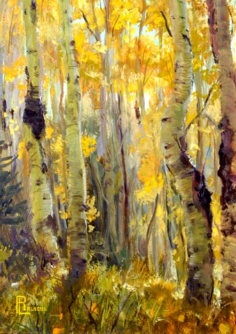 Aspen Grove
